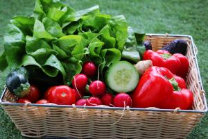 Korb mit verschiedenem Gemüse (Tomaten, Paprika, Gurke, Aubergine, Salat)