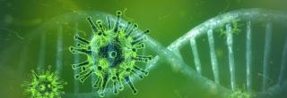 Virus und DNA-Strang, grün