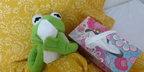 Schnupfender Plüschfrosch mit Taschentuch